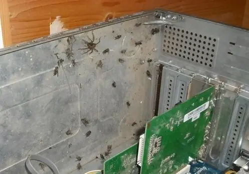 no limpies la compu decian no pasara