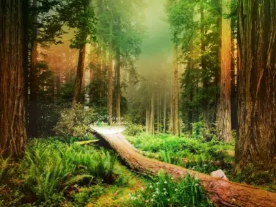 Importancia de la naturaleza en el mundo