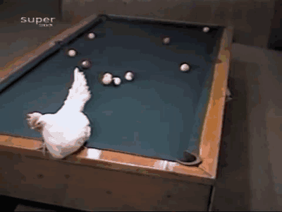 Gifs