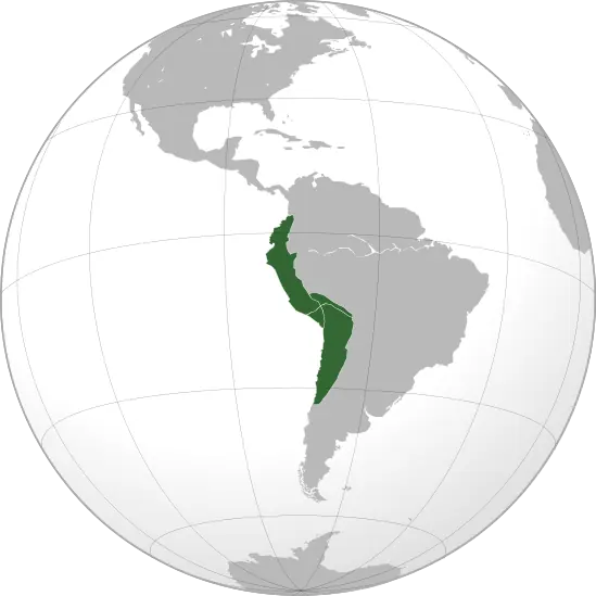 El Imperio Incaico (Megapost), Parte 1