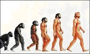 Evolución del Hombre.