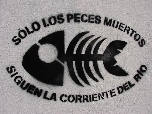 el propôsito de un perro