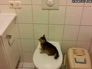 Gifs random [Parte 1]