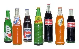 Como hacer un Lunch? Tips y consejos (Parte 2)