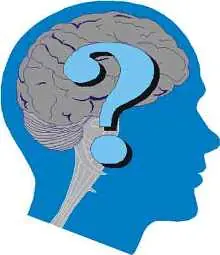 ¿La inteligencia se puede medir con un único test?