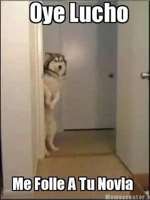 Memes de "El perro de Lucho"