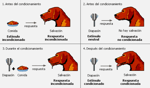 ser humano
