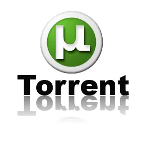Cómo descargar Torrent - guía + descarga del programa.
