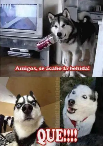 jajaja