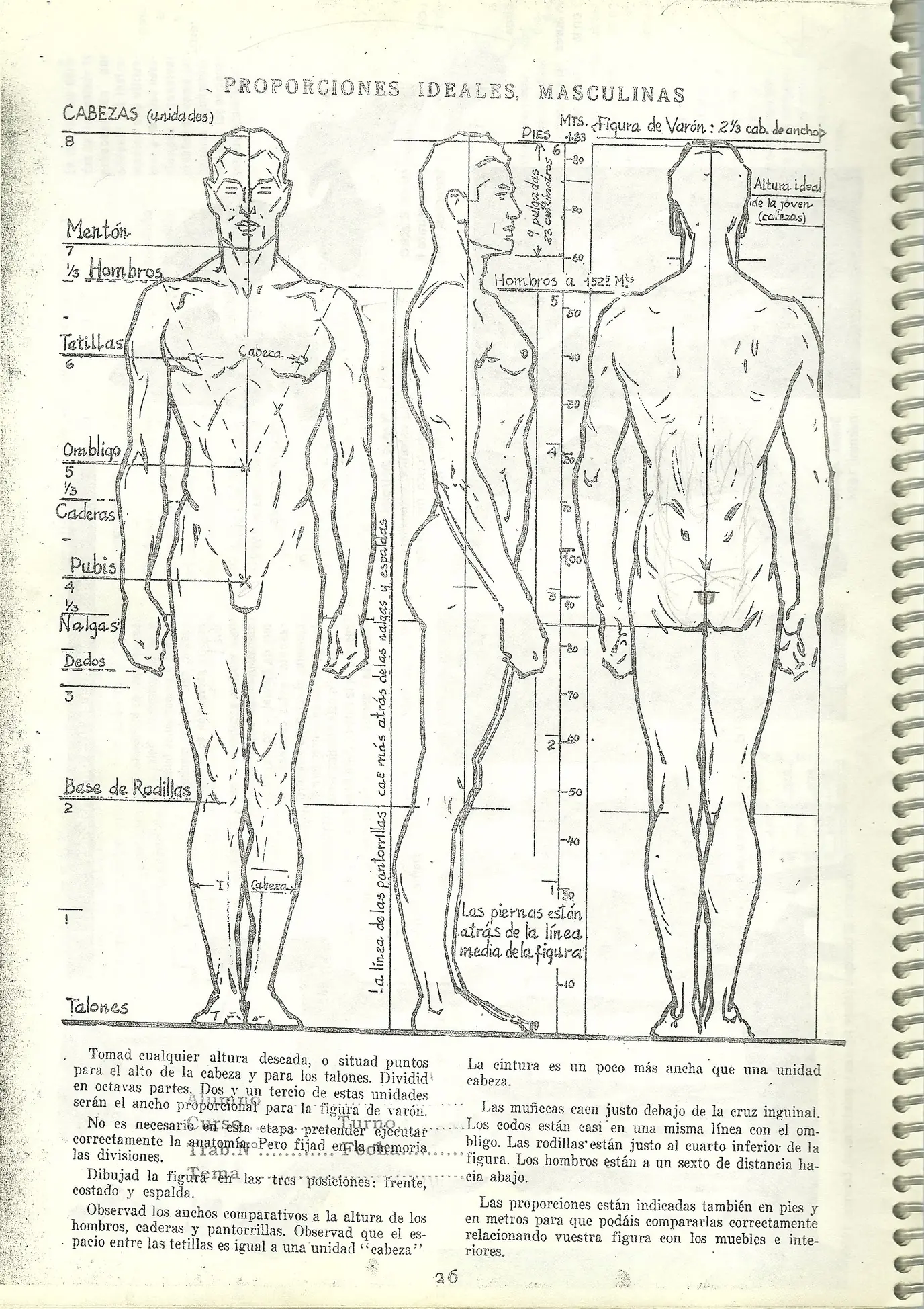 Figura Humana: Como Dibujarla
