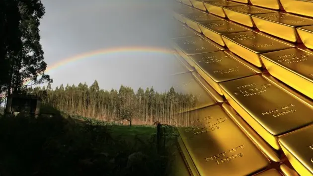 Dos españoles descubren una mina de oro recogiendo setas