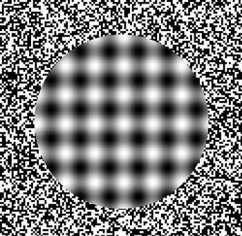 ilusion optica increible