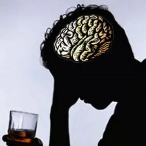 El alcohol alimenta el cerebro.
