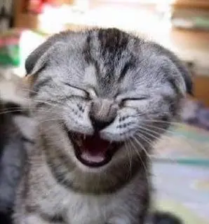 Carta a Papa Noel de Ramiro [Video Humor] :D