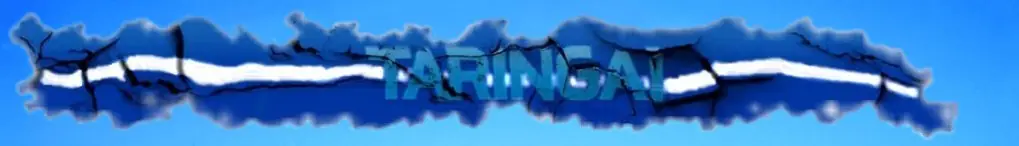 Todo lo que querías saber sobre subtítulos.