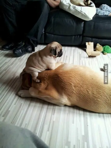 Reite vos que yo estoy amargo 7