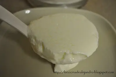 Yogurt Casero...
