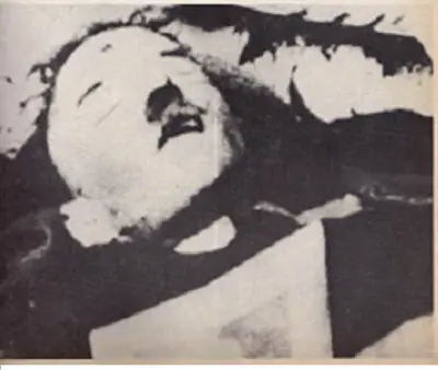 hitler no se habria suicidado