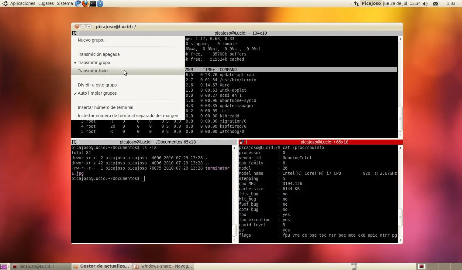 Terminator [GNU/Linux]