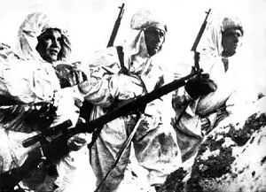 Francotiradores en la Segunda Guerra Mundial