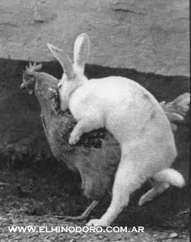 El Humor es una piedad Pascual.