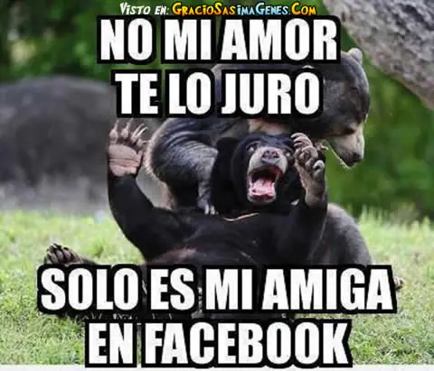 imagenes graciosas y ultimo post del 2015 D:
