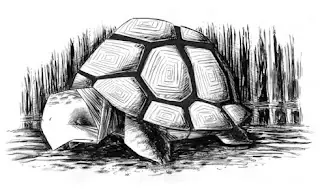 La tortuga gigante. (Horacio Quiroga)