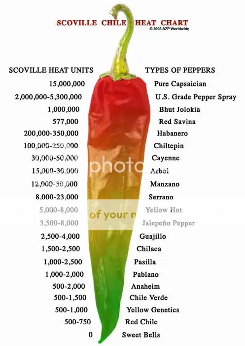 El aji chile mas Picante del Mundo lo sembre y te lo muestro