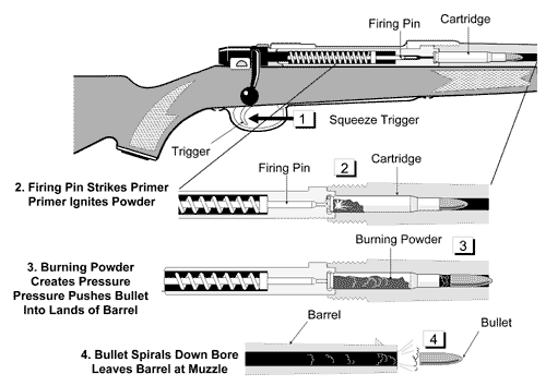 Introducción Básica a las Armas de Fuego.