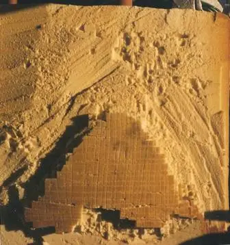 Miguel Candileri / Constructor