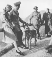 nazi