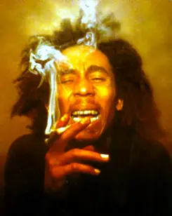 El Rastafari (Micro-Mega-Post)
