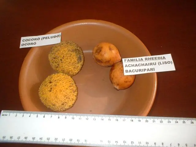 Las Frutas Mas Raras Del Mundo