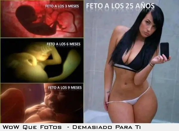 humor