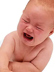 Queres hijos??? Manual.(Humor)
