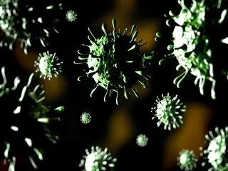 Humanidad es amenazada por experimentar con gripe Aviar