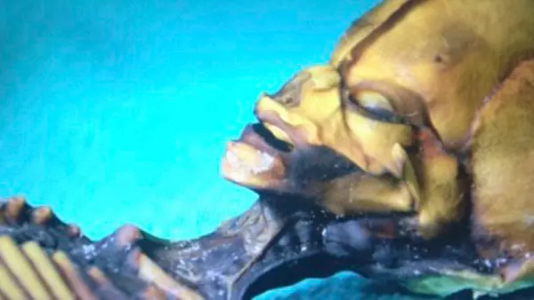 Extraterrestre Humanoide de 6 pulgadas en Chile