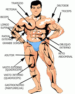 Màs fuerte que el hierro (entrenamiento para principiantes)