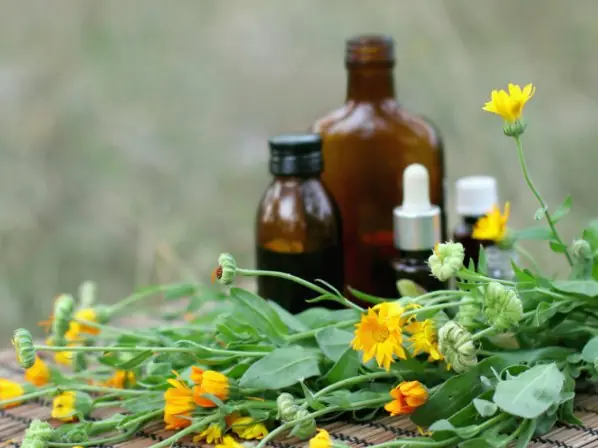 Té milagroso contra la diabetes