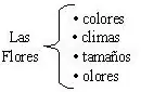 Cuadro sinoptico [aprendelo todo]