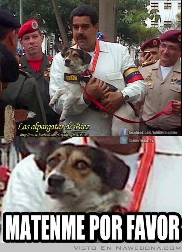 Los perros tambien estan con Capriles!