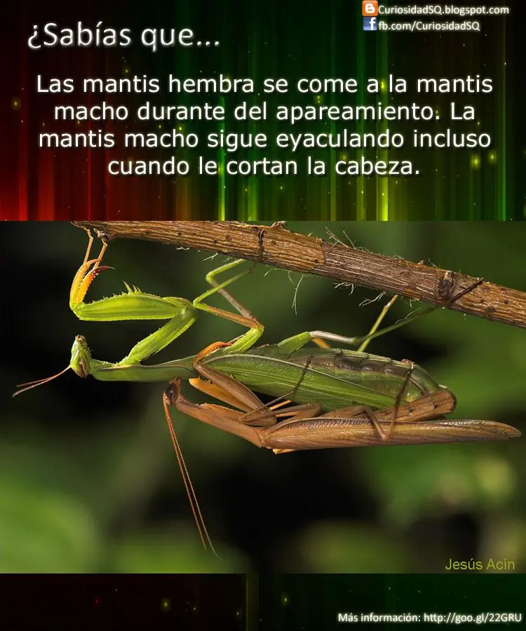 info