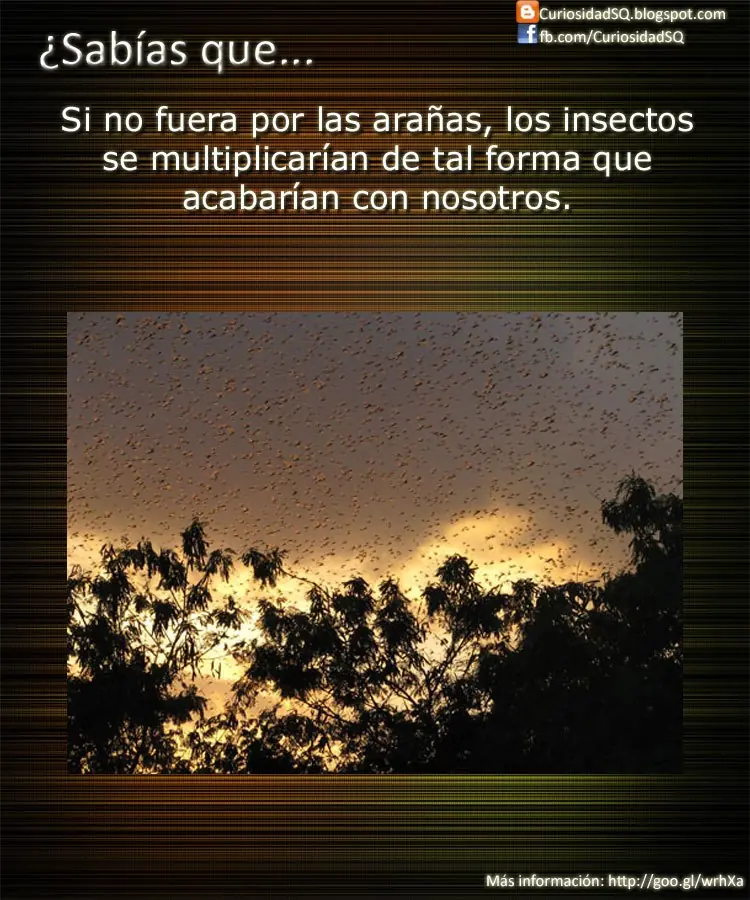 imagenes curiosas taringa