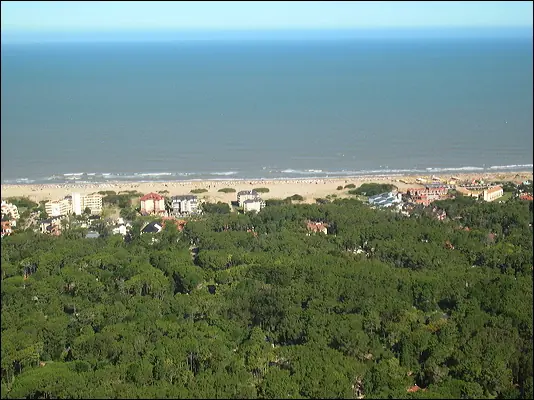Pinamar y Cariló: Precios de Otro Mundo