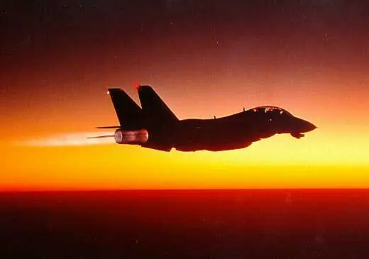 Grumman F-14 Tomcat