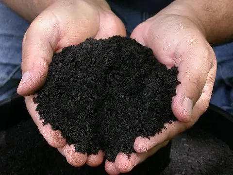 Como hacer abono para plantas (humus,composta)