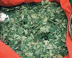 Esquizofrenico y comediante