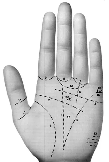 Secretos que nos revela la lectura de mano