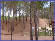 Falta de respeto al medio ambiente en Pinamar