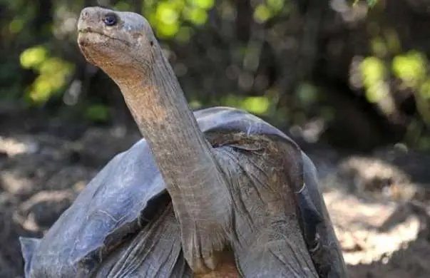 Arranca el día con una sonrisa,pasa